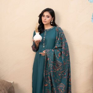 Embroidered Dhanak Shawls - Image 9